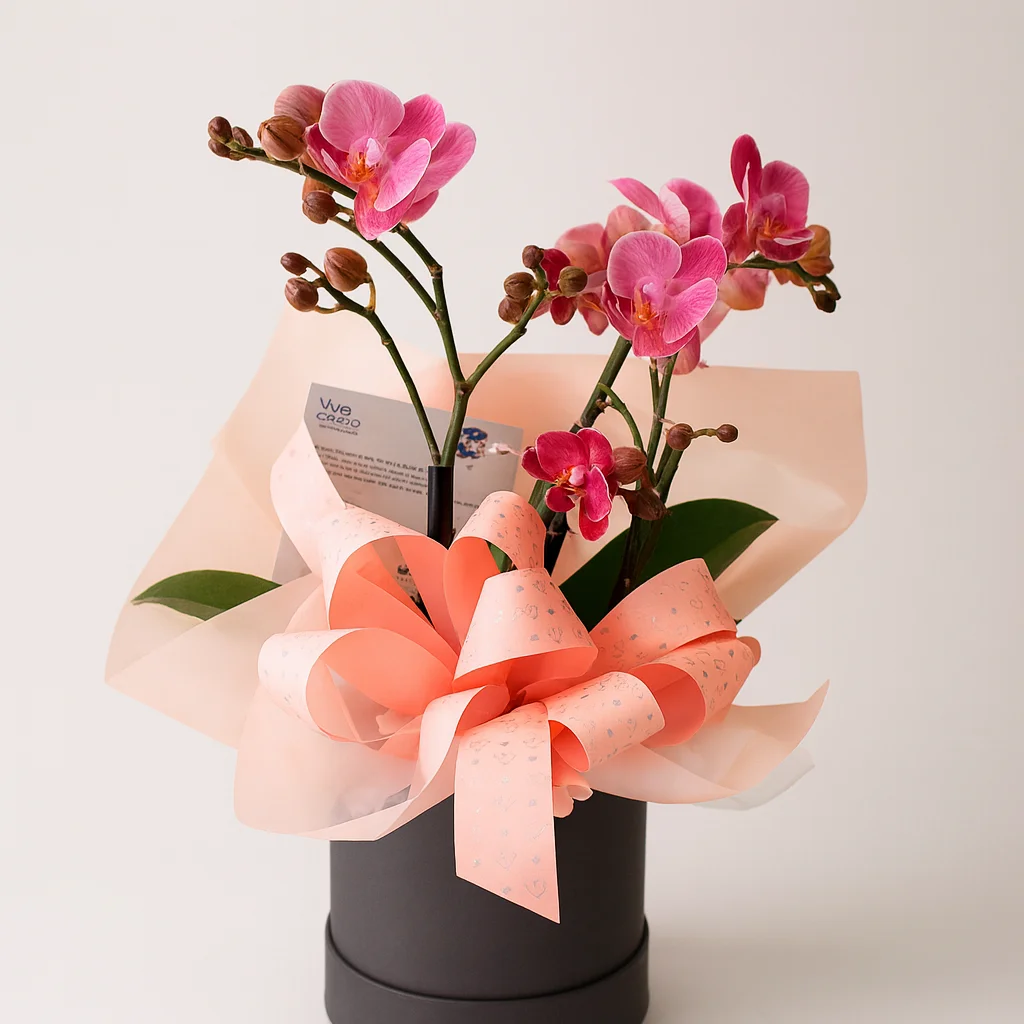 Orquídea Phalaenopsis Multiflora