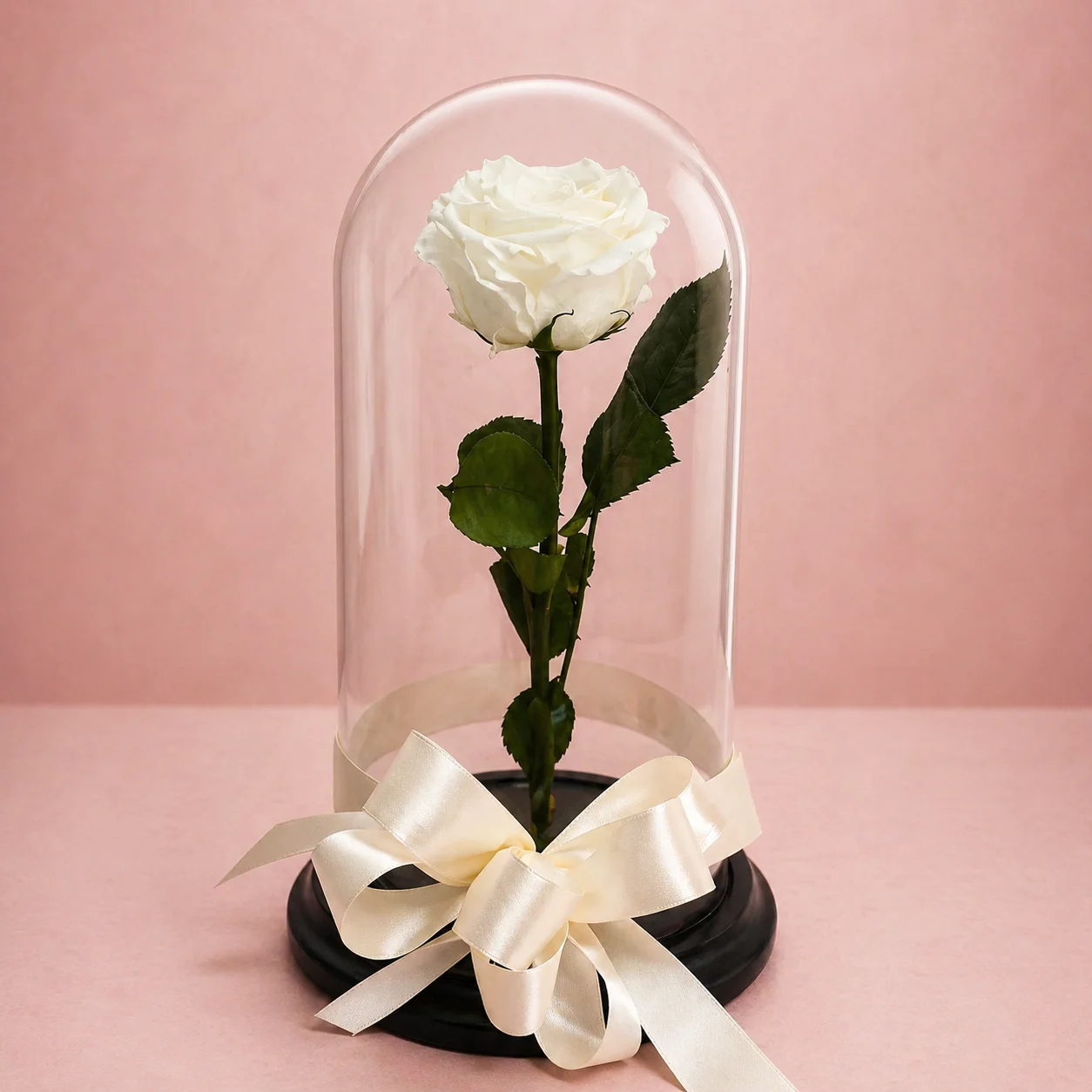 Rosa Eterna Blanca Premium